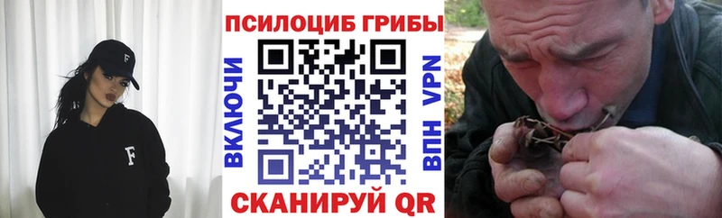 Псилоцибиновые грибы Cubensis  Красково 