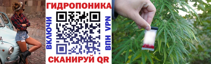 Шишки марихуана OG Kush  Красково 